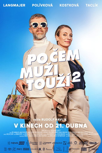 Póster de Po čem muži touží 2