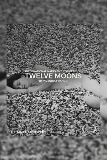 Póster de Doce lunas