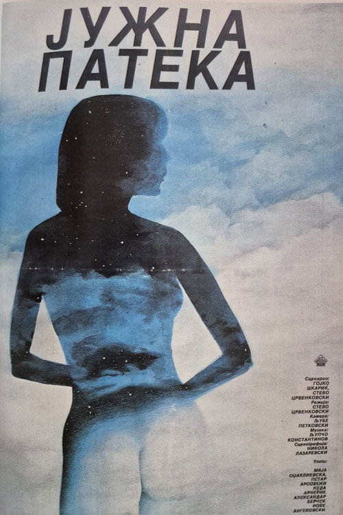 Póster de The Southern Trail