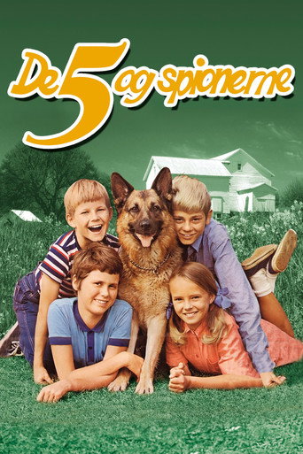 Póster de De 5 og spionerne