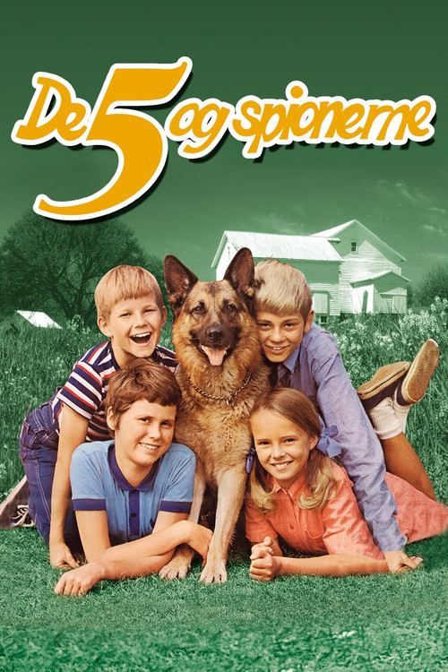 Póster de De 5 og spionerne