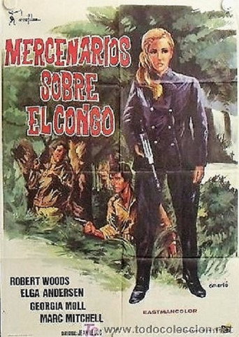 Póster de Capitaine Singrid