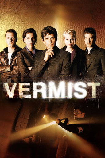 Póster de Vermist
