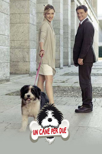 Póster de Un cane per due