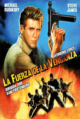 Póster de Fuerza vengadora