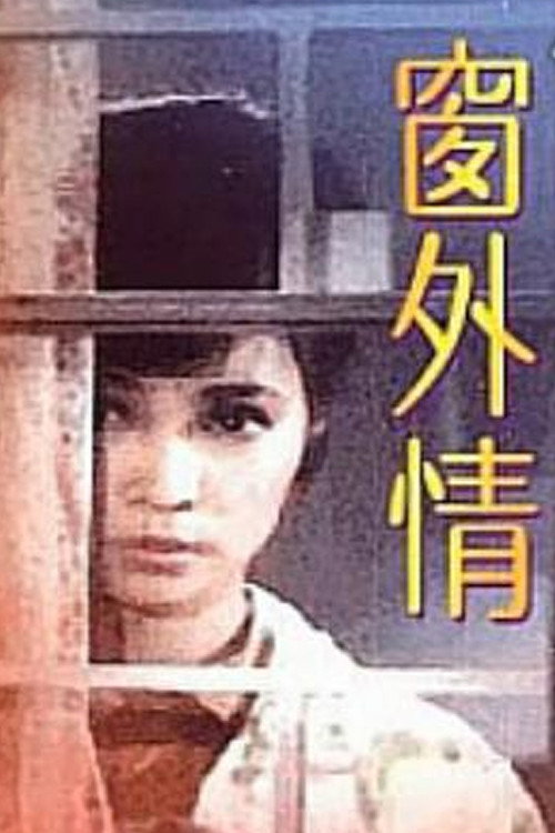 Póster de 窗外情