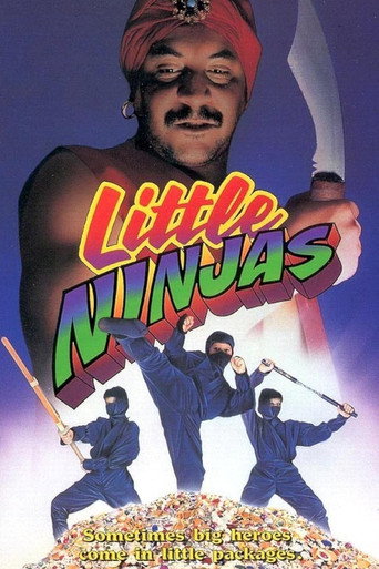 Póster de Little Ninjas