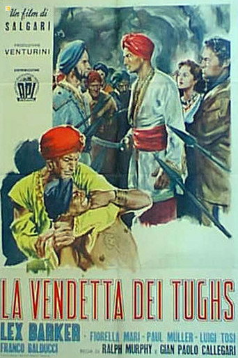 Póster de La vendetta dei Tughs