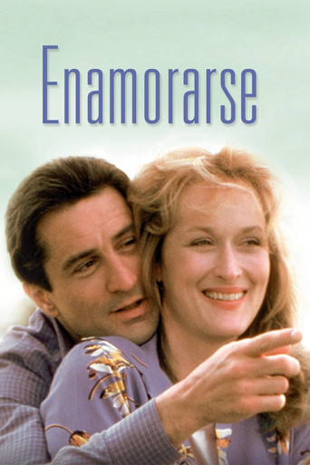 Póster de Falling in Love