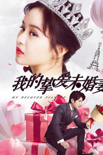 Póster de 我的挚爱未婚妻