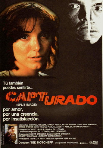 Póster de Split Image