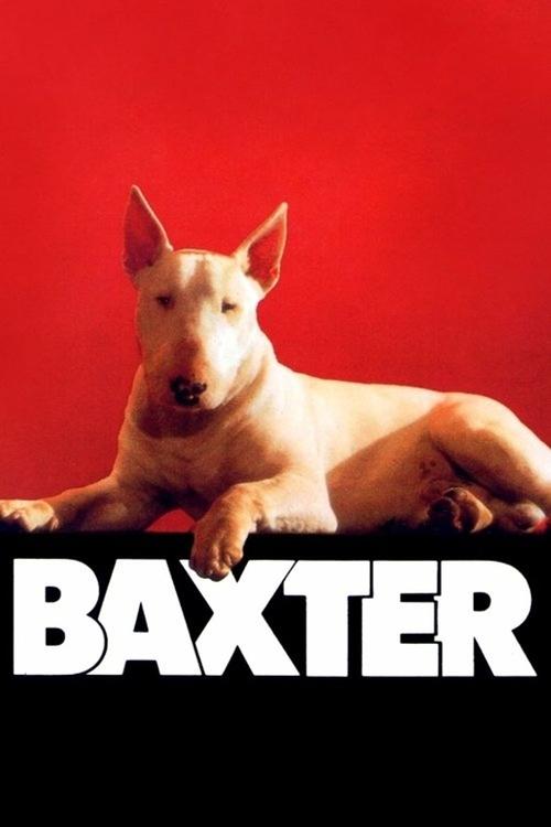 Póster de Baxter