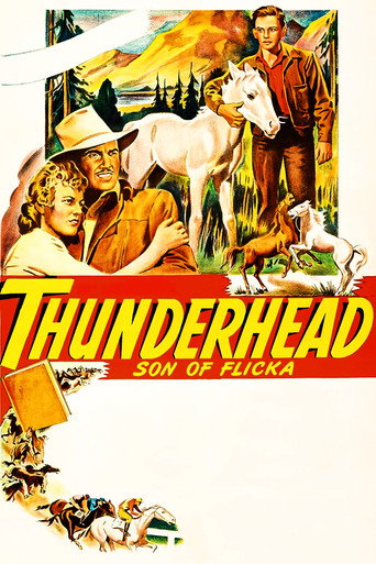 Póster de Thunderhead: Son of Flicka