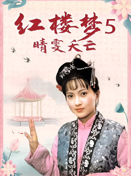 Póster de 红楼梦第五部：晴雯夭亡