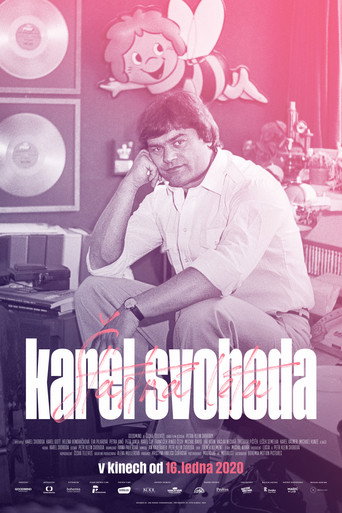 Póster de Karel Svoboda: Šťastná léta
