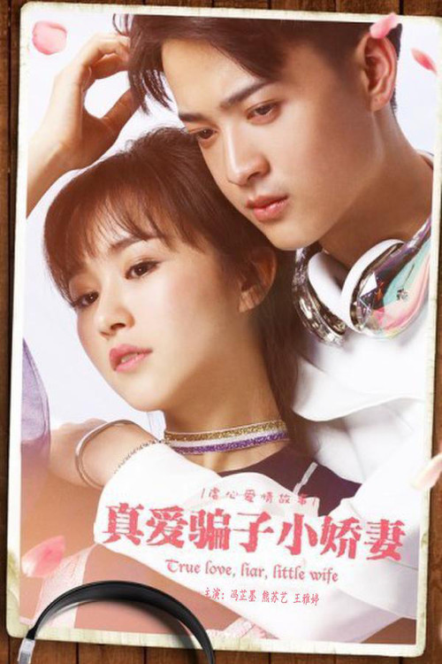 Póster de 真爱骗子小娇妻