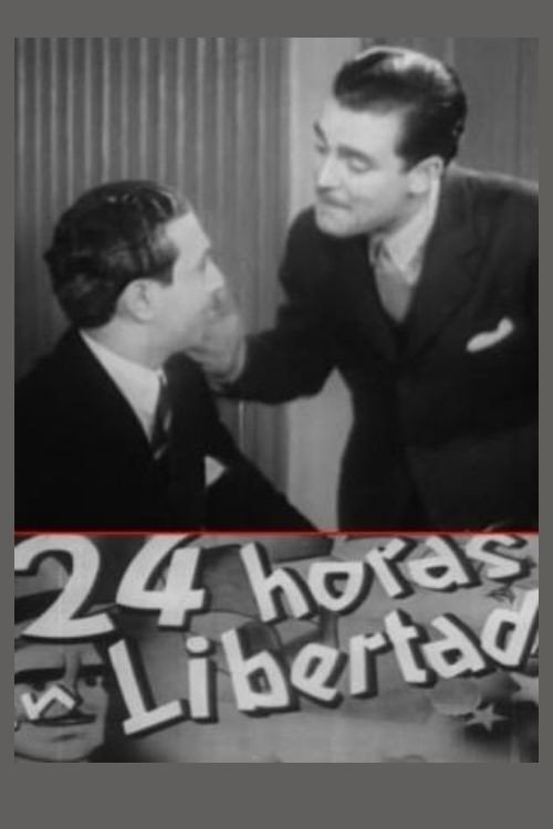 Póster de 24 horas en libertad