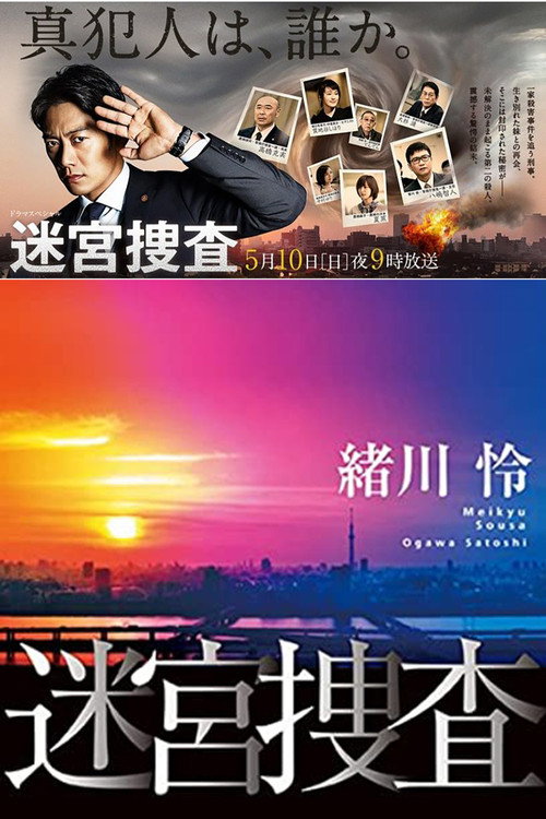Póster de 迷宮捜査