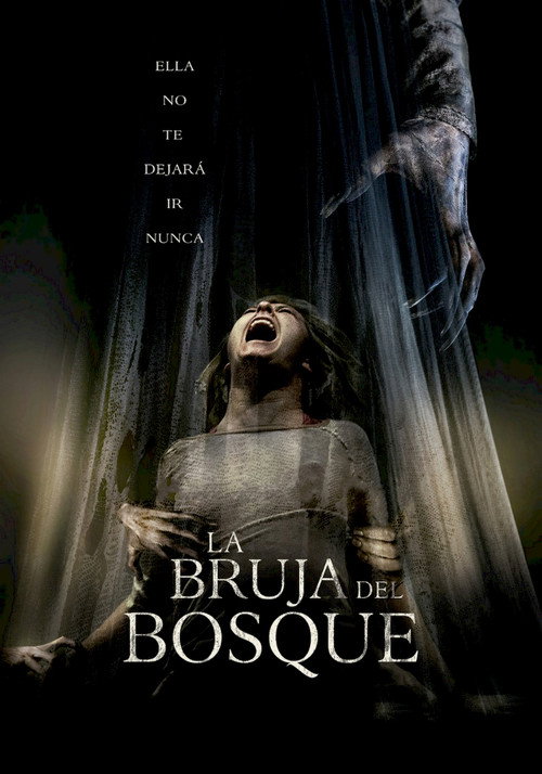 Póster de La bruja del bosque