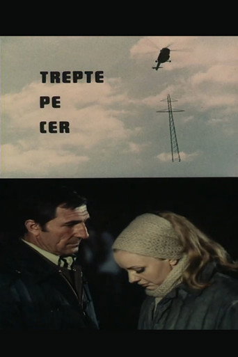 Póster de Trepte pe cer