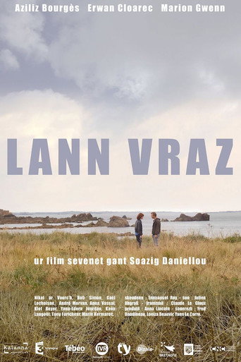 Póster de Lann vraz
