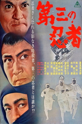 Póster de 第三の忍者