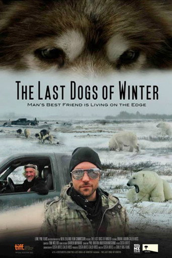 Póster de The Last Dogs of Winter