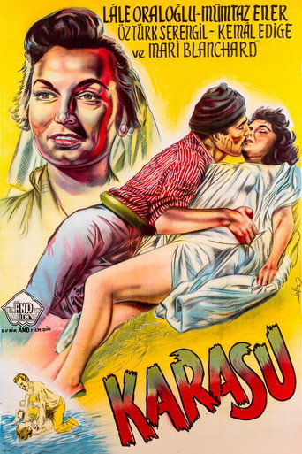 Póster de Karasu