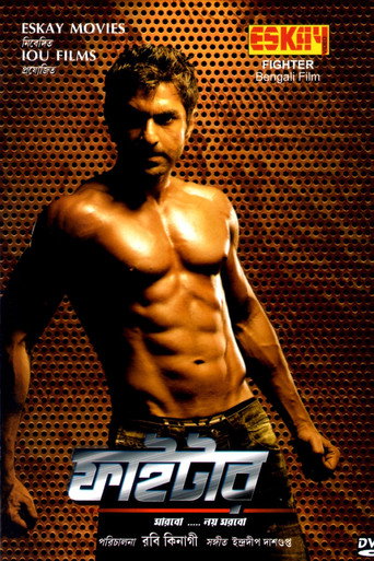 Póster de Fighter
