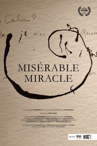 Póster de Misérable miracle