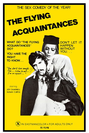 Póster de Flying Acquaintances
