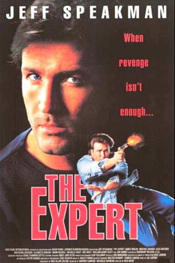Póster de The Expert