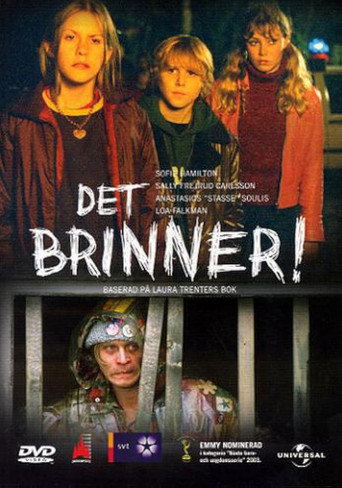 Póster de Det brinner!
