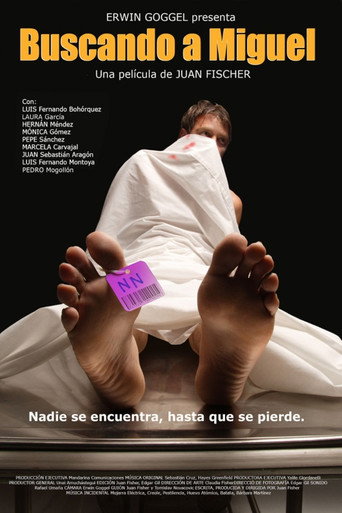 Póster de Buscando a Miguel