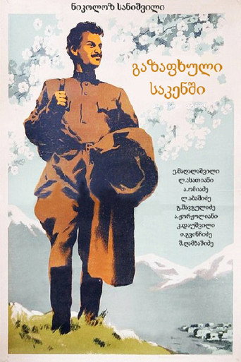 Póster de Spring in Sakeni
