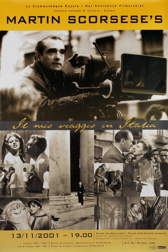 Póster de Il mio viaggio in Italia