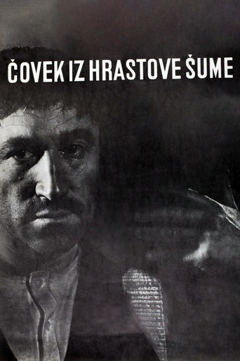 Póster de Čovek iz hrastove šume