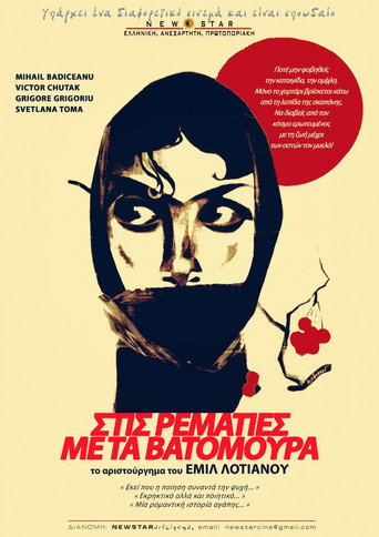 Póster de Poienile roșii