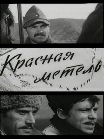 Póster de Viforul roşu