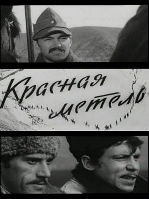 Póster de Viforul roşu