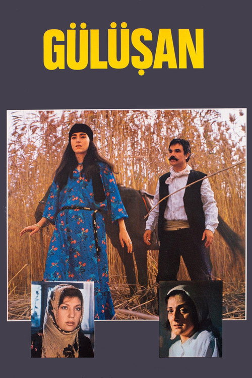 Póster de Gülüşan