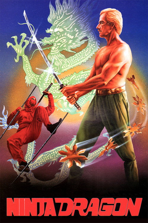 Póster de Ninja Dragon