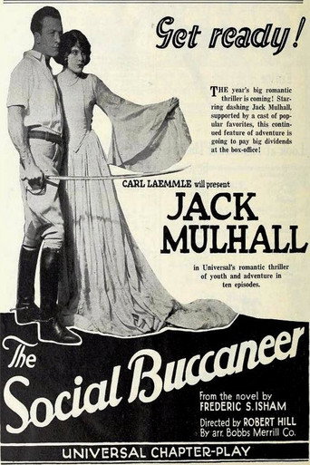 Póster de The Social Buccaneer