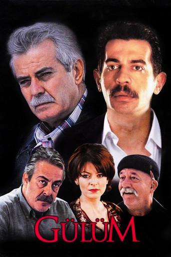 Póster de Gülüm