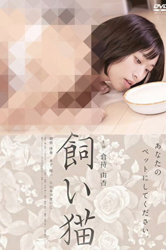 Póster de 飼い猫