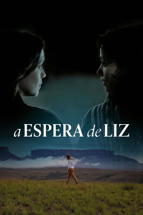 Póster de A Espera de Liz