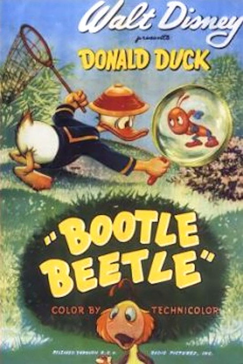 Póster de Bootle Beetle
