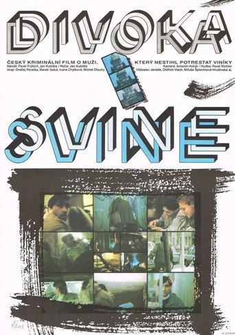 Póster de Divoká svině
