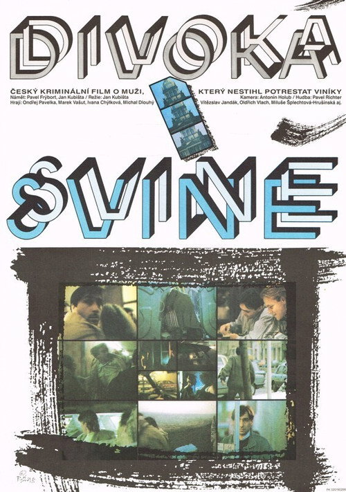 Póster de Divoká svině