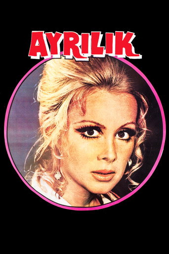 Póster de Ayrılık